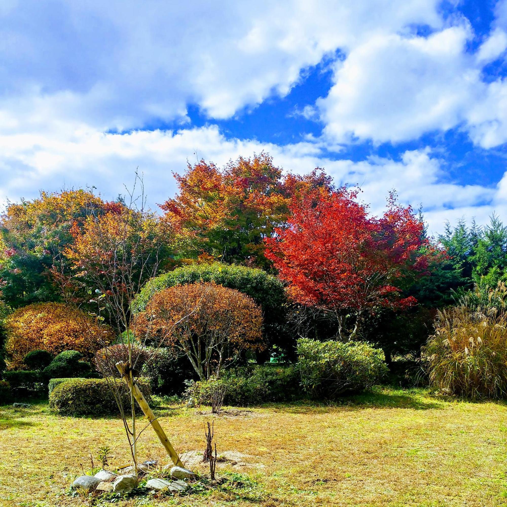 Affittacamere さいの郷「椛」 Kagamino Esterno foto